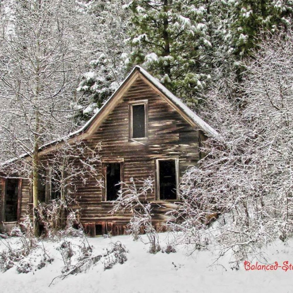 Meet your Posher, Janice